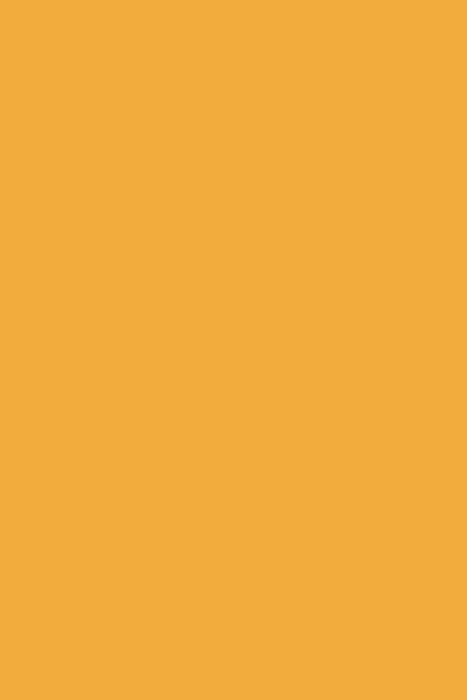 Vinilo Amarillo 020 ORACAL 651 Brillante Orafol – 0,61 m x 1 m