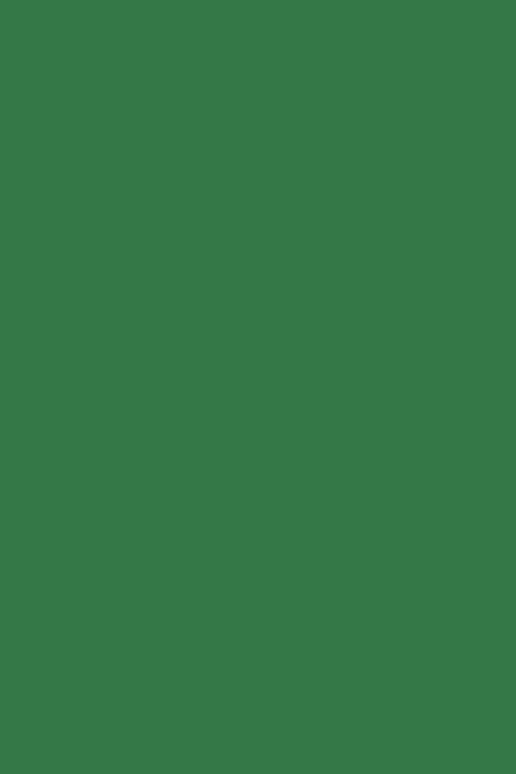 Vinilo Verde 068 ORACAL 651 Brillante Orafol – 0,61 m x 1 m