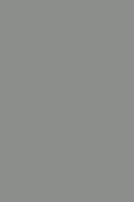 Vinilo Gris 074 ORACAL 651 Brillante Orafol – 0,61 m x 1 m