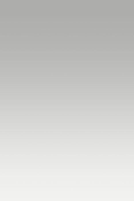 Vinilo Plateado 090 ORACAL 651 Brillante Orafol – 0,61 m x 1 m