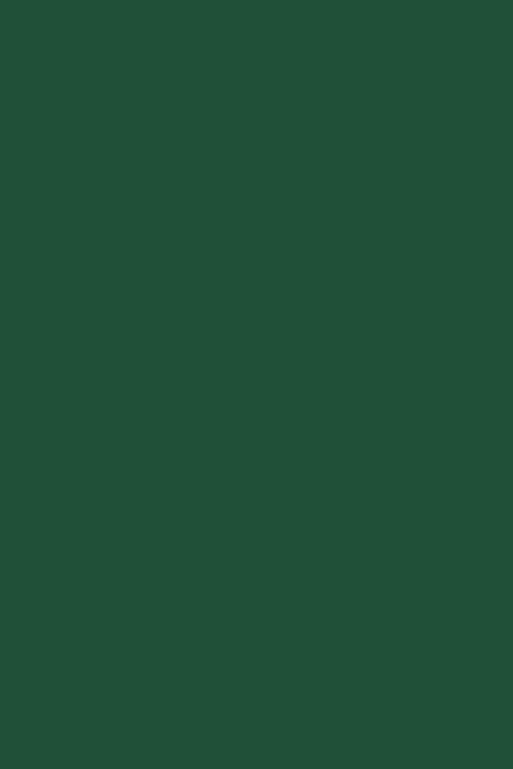 Vinilo Verde 613 ORACAL 651 Brillante Orafol – 0,61 m x 1 m